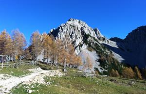 Artikel 'Sicheres Wandern im Herbst' anzeigen