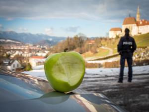 Artikel 'Ein Jahr zum Durchbeißen' anzeigen