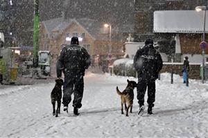 Artikel 'Kein Publikum aber viel Schnee' anzeigen