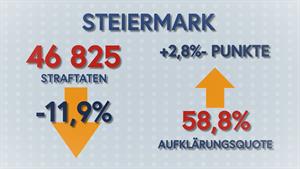 Artikel 'Polizeiliche Kriminalstatistik 2020' anzeigen