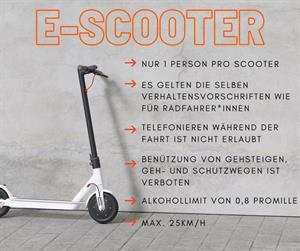 Artikel 'Scooter ist nicht gleich Scooter' anzeigen