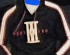 Artikel 'Raubüberfall in Wiener Neustadt' anzeigen