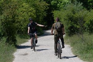 Artikel 'Fahrrad Rechtsirrtümer Teil 2' anzeigen
