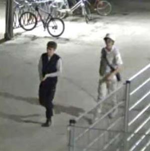 Artikel 'Diebstahl im Bezirk Wiener Neustadt' anzeigen