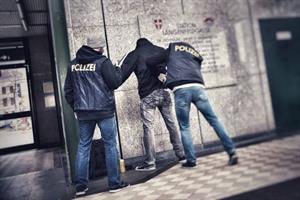 Artikel 'Erfolgreiche Festnahmen' anzeigen