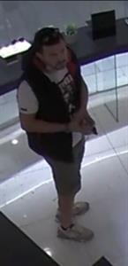 Artikel 'Diebstahl in Vösendorf – Bezirk Mödling' anzeigen