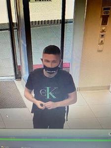 Artikel 'Gewerbsmäßige Diebstähle in St. Pölten' anzeigen