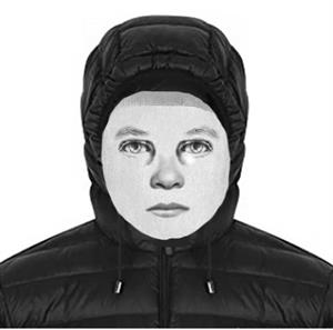 Artikel 'Schwerer Betrug in Wiener Neustadt' anzeigen