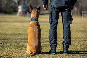 Artikel 'Polizeidiensthundeeinheit: neues Team' anzeigen