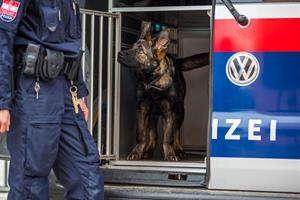 Artikel 'Richtiger Transport von Haustieren' anzeigen
