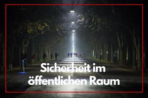 Artikel 'Sicherheit im öffentlichen Raum' anzeigen