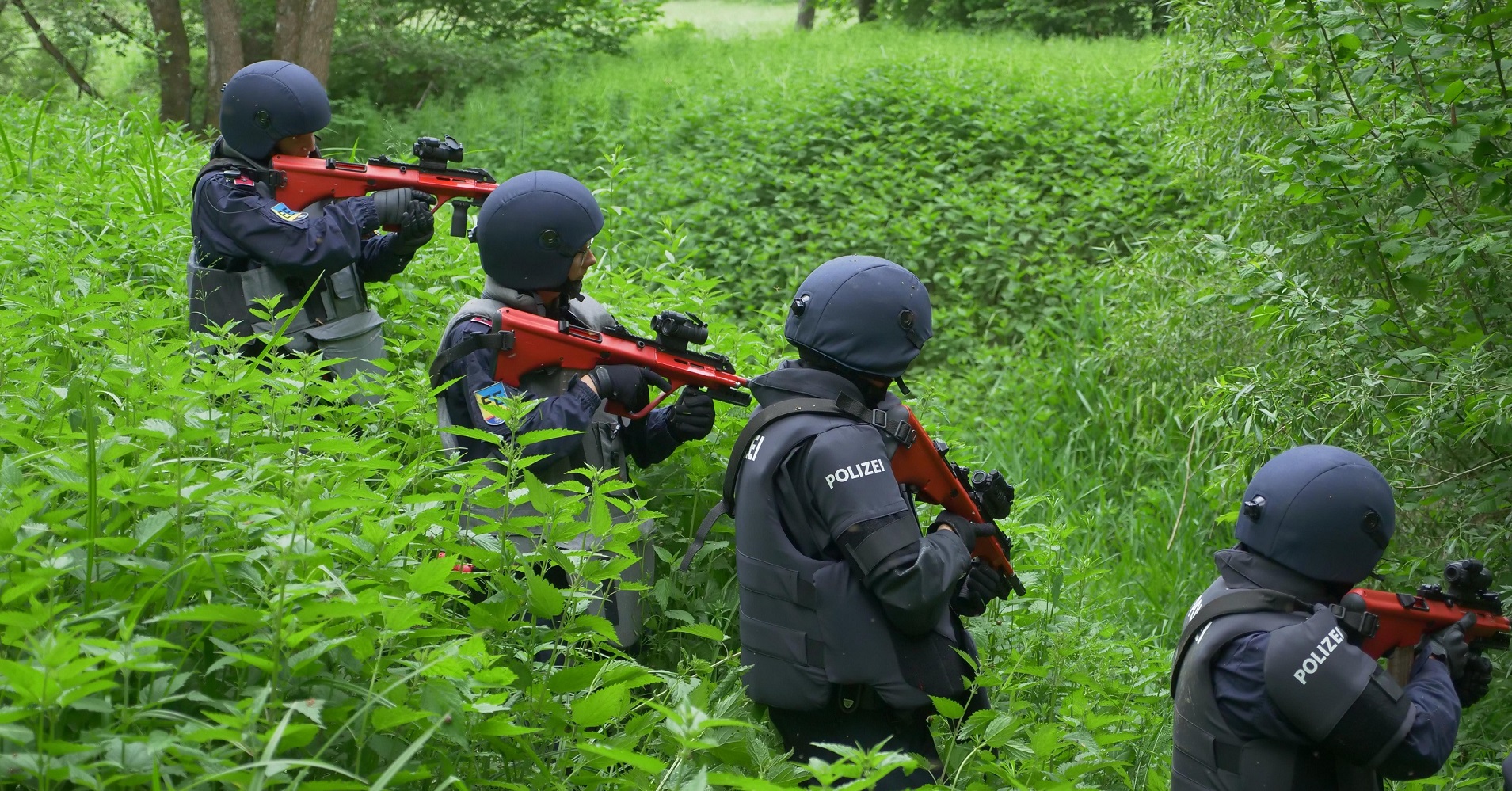 Berichte aus der LPD Niederösterreich