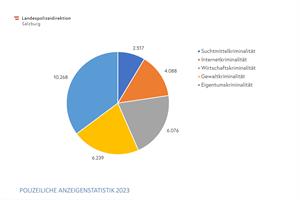 Artikel 'Kriminalitätsentwicklung in Salzburg' anzeigen