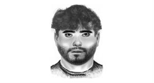 Artikel 'Verdacht d. Vergewaltigung in Wieselburg' anzeigen
