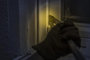 Artikel 'Dämmerungseinbrüche haben wieder Saison' anzeigen