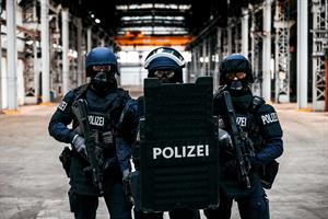 Artikel 'Vier Jahre ‚Schnelle Reaktionskräfte‘' anzeigen