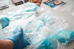 Artikel 'Erfolg gegen "weiße" Weihnachten' anzeigen