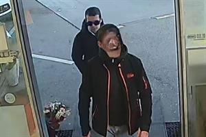 Artikel 'Einbruchsdiebstahl' anzeigen