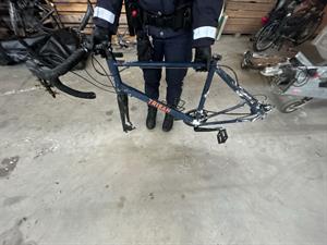 Artikel 'Opferaufruf: Sicherstellung Diebesgut' anzeigen