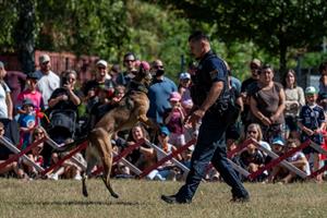 Artikel 'Ferienspiel Polizeihunde' anzeigen